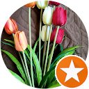 Anna Folloni Anna Folloni