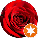 Chiara Grazia Rosi Chiara Grazia Rosi