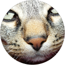 cecchinelli giovanna cecchinelli giovanna