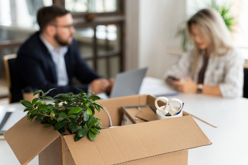 Perché è importante una consulenza prima di effettuare un trasloco?