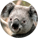 Enzo Corlito Enzo Corlito